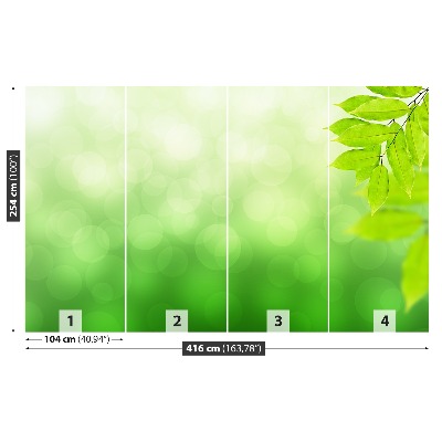 Papel de parede Ramo Verde