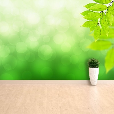 Papel de parede Ramo Verde