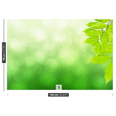 Papel de parede Ramo Verde