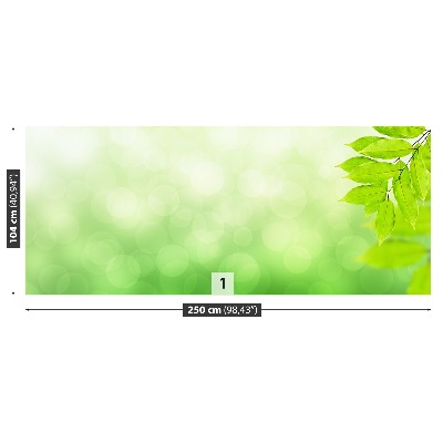 Papel de parede Ramo Verde