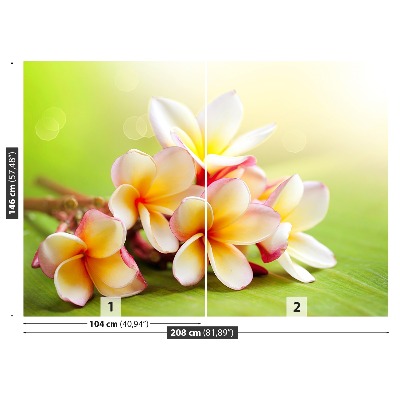 Papel de parede Flores de Frangipani
