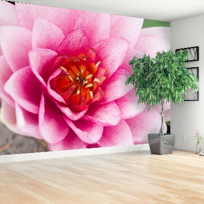 Mural de parede Flor de lótus
