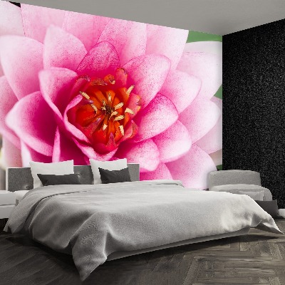 Mural de parede Flor de lótus