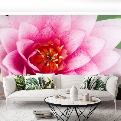 Mural de parede Flor de lótus
