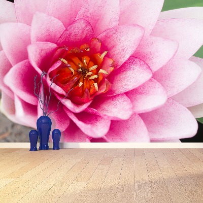 Mural de parede Flor de lótus