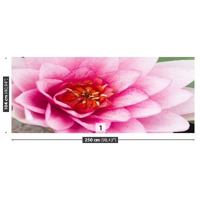 Mural de parede Flor de lótus