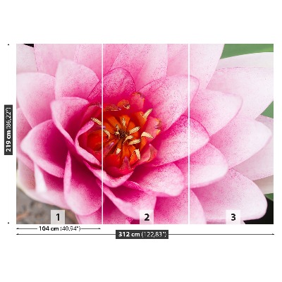 Mural de parede Flor de lótus