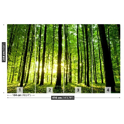 Papel de parede Floresta verde