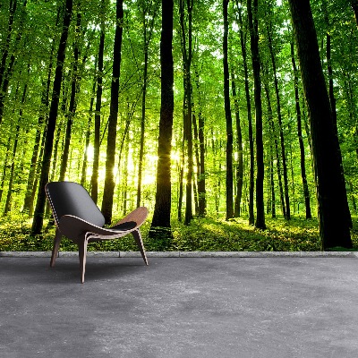 Papel de parede Floresta verde