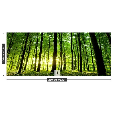 Papel de parede Floresta verde