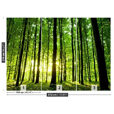 Papel de parede Floresta verde