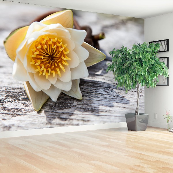 Mural de parede Nenúfar