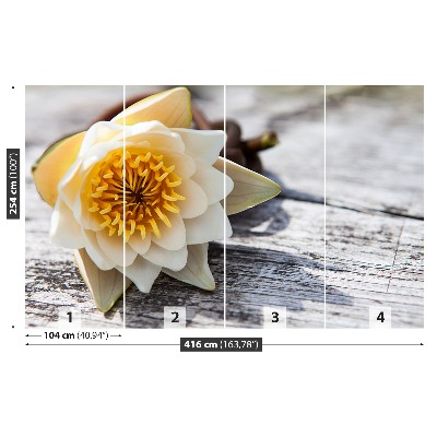 Mural de parede Nenúfar