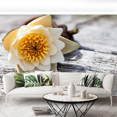 Mural de parede Nenúfar