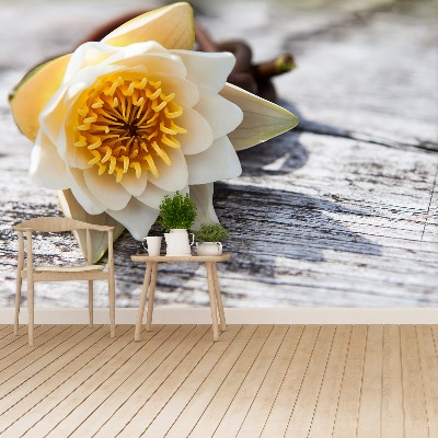 Mural de parede Nenúfar