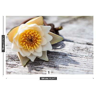 Mural de parede Nenúfar