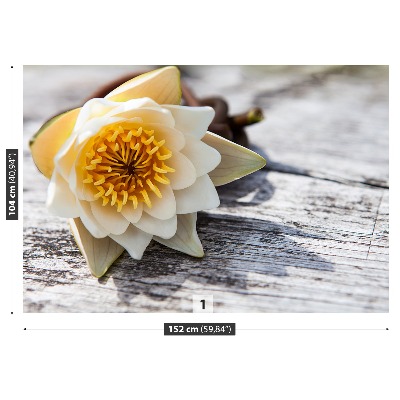 Mural de parede Nenúfar