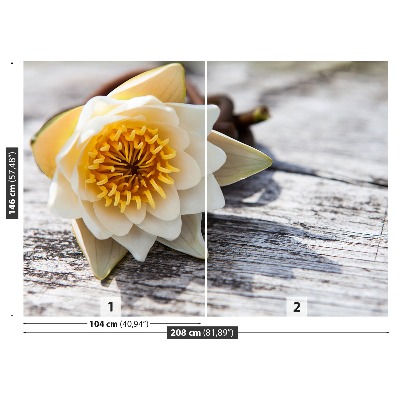 Mural de parede Nenúfar