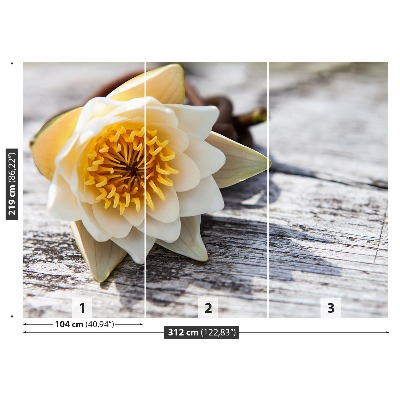 Mural de parede Nenúfar