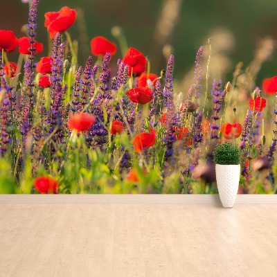 Papel de parede Flores silvestres