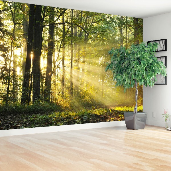 Mural de parede Floresta no outono