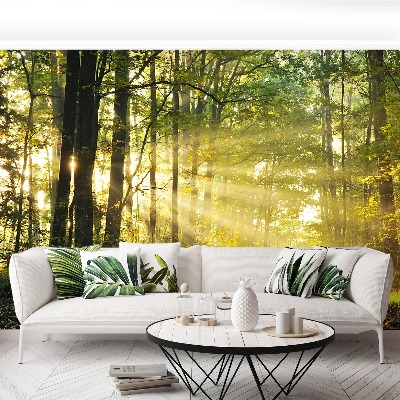 Mural de parede Floresta no outono