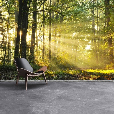 Mural de parede Floresta no outono