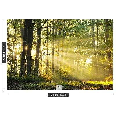 Mural de parede Floresta no outono