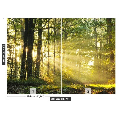 Mural de parede Floresta no outono