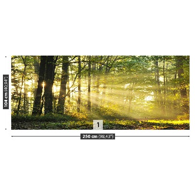 Mural de parede Floresta no outono