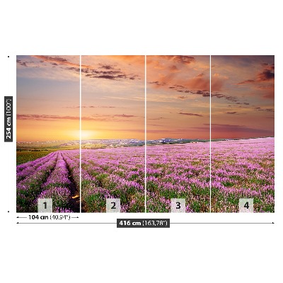 Mural de parede Campo de lavanda