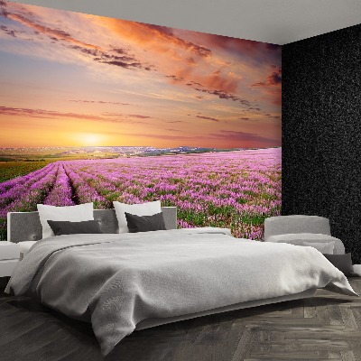 Mural de parede Campo de lavanda