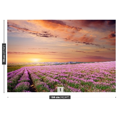 Mural de parede Campo de lavanda