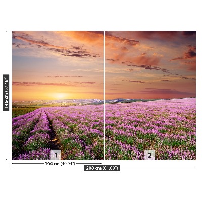 Mural de parede Campo de lavanda