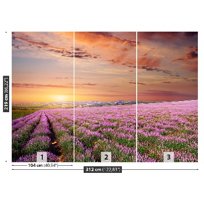 Mural de parede Campo de lavanda