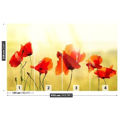 Papel de parede Papoula