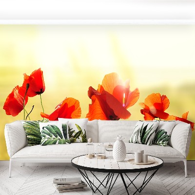 Papel de parede Papoula