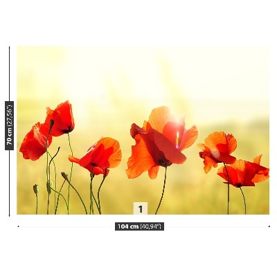 Papel de parede Papoula