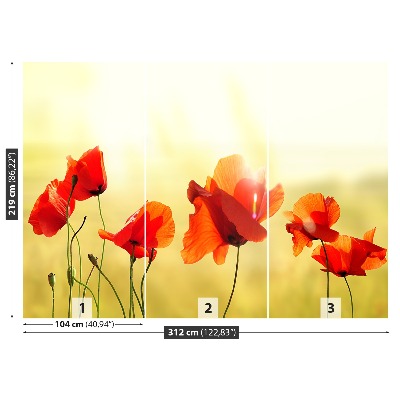 Papel de parede Papoula