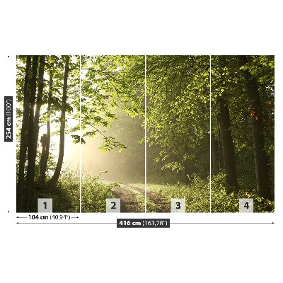 Papel de parede Caminho da floresta