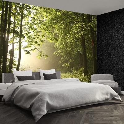 Papel de parede Caminho da floresta