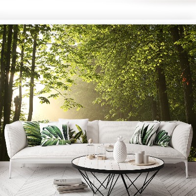 Papel de parede Caminho da floresta