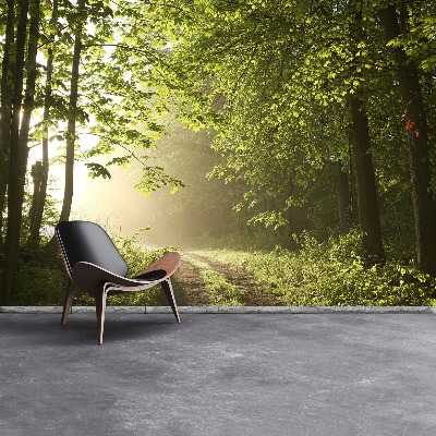 Papel de parede Caminho da floresta