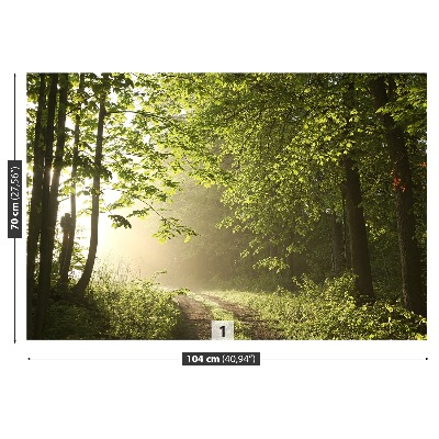 Papel de parede Caminho da floresta