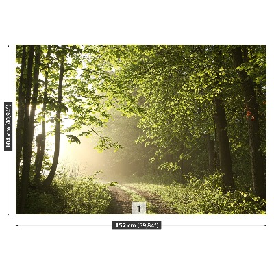 Papel de parede Caminho da floresta