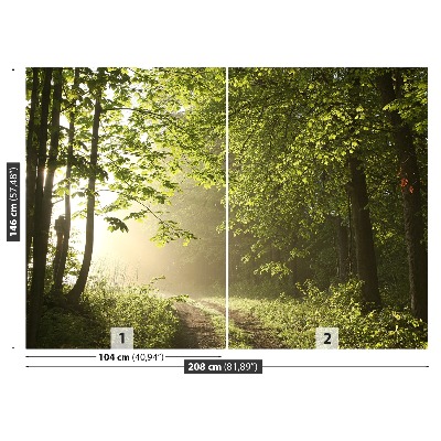 Papel de parede Caminho da floresta