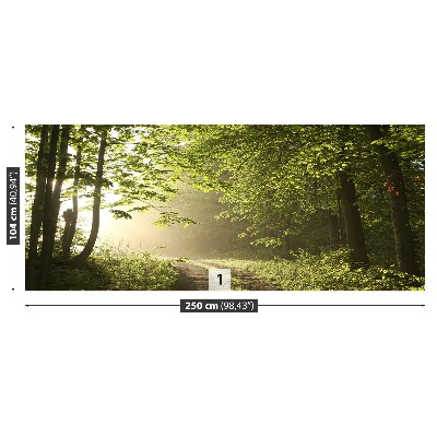 Papel de parede Caminho da floresta