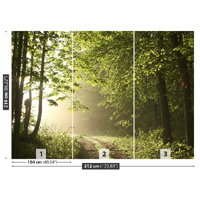 Papel de parede Caminho da floresta