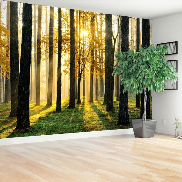 Mural de parede Floresta pela manhã