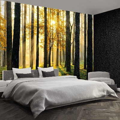 Mural de parede Floresta pela manhã